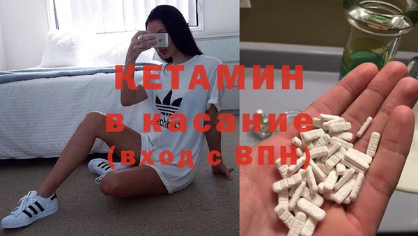 прущие грибы Балахна