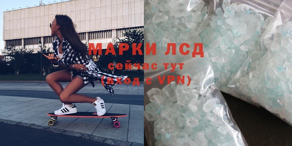 прущие грибы Балахна