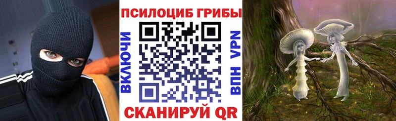Псилоцибиновые грибы Psilocybine cubensis  Купить где  Черепаново 
